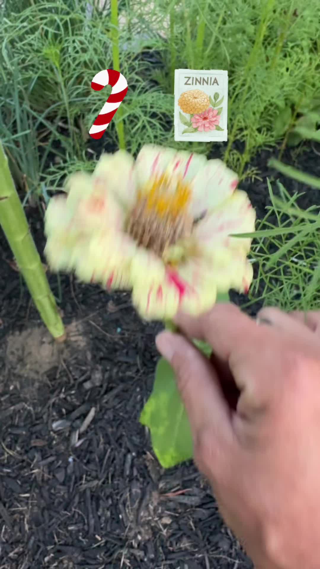 @THERETROMOM❌
