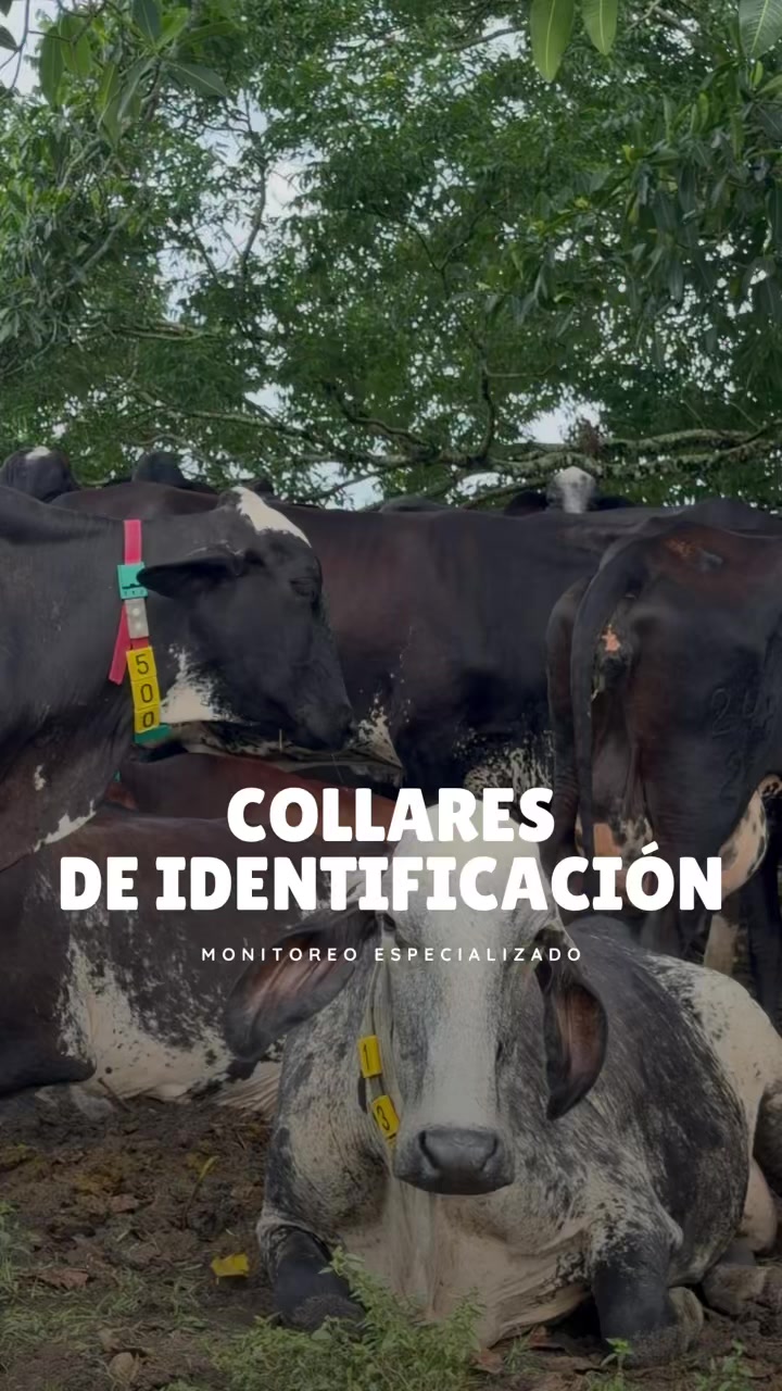 @Rehagronegocios