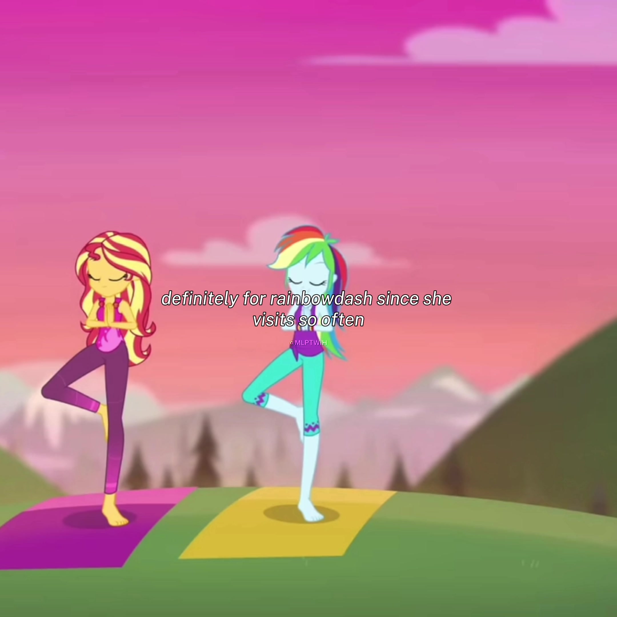 @mlptwih