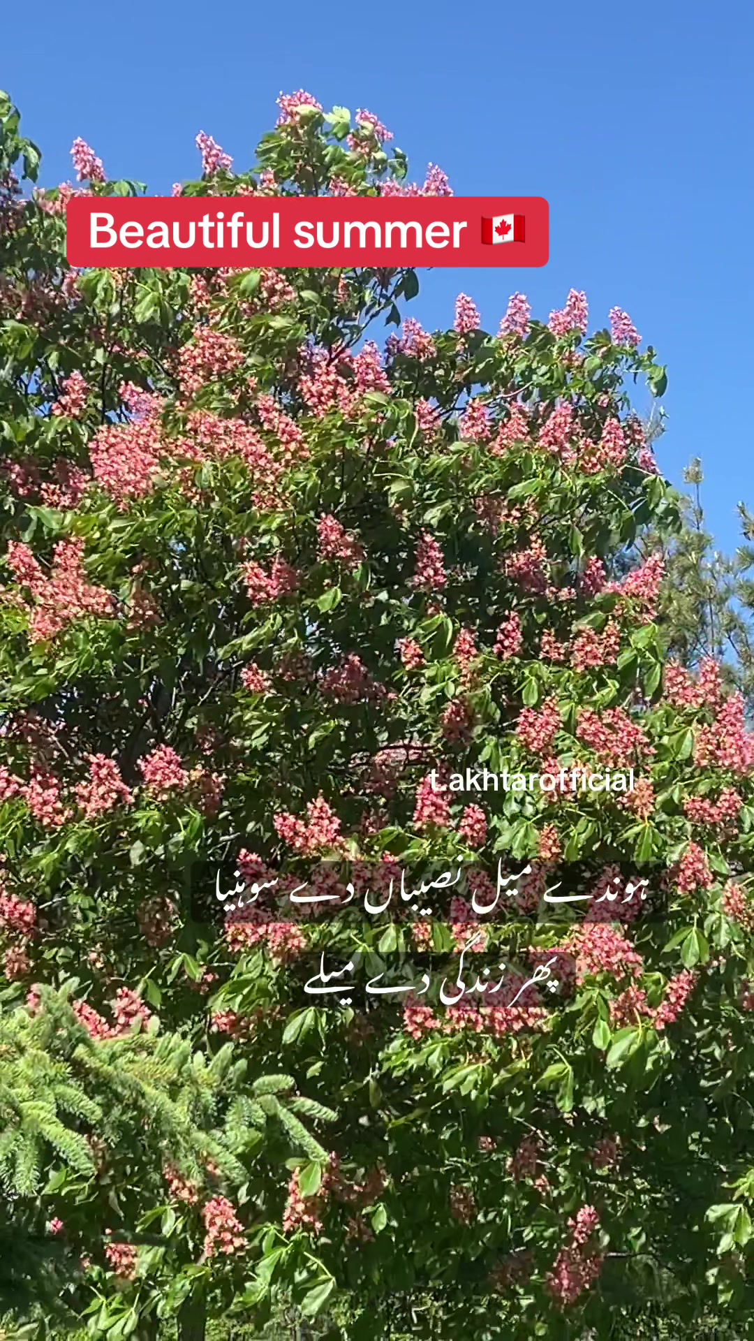 @T.Akhtar Official