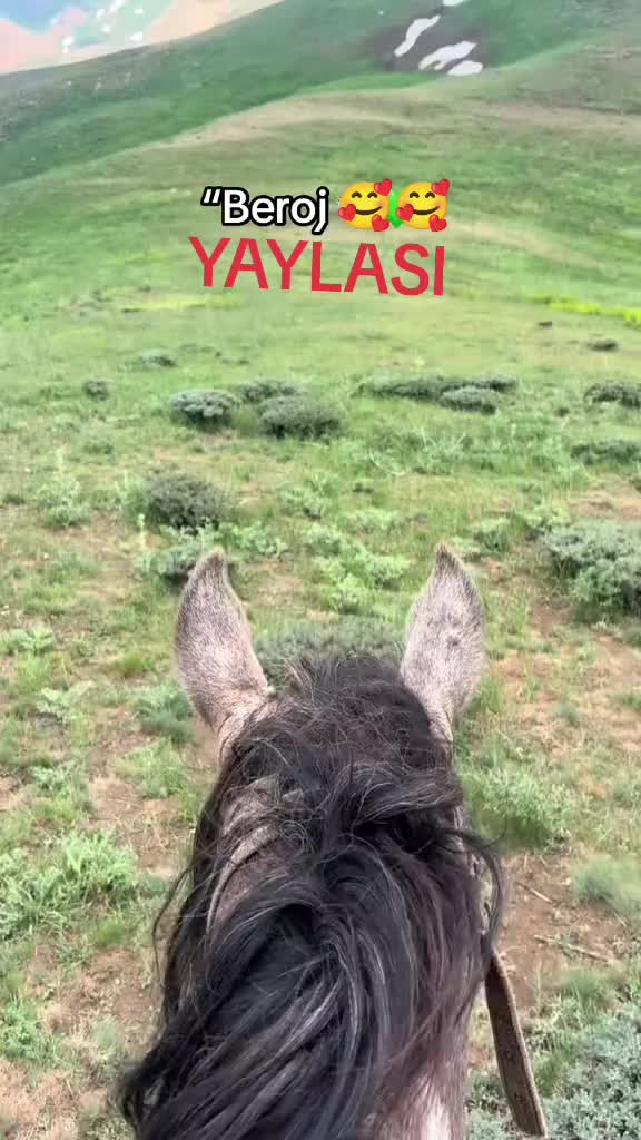 @Antalya sezer nakliyat