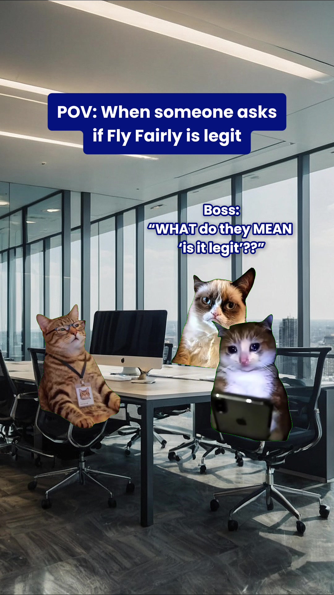 @Fly Fairly