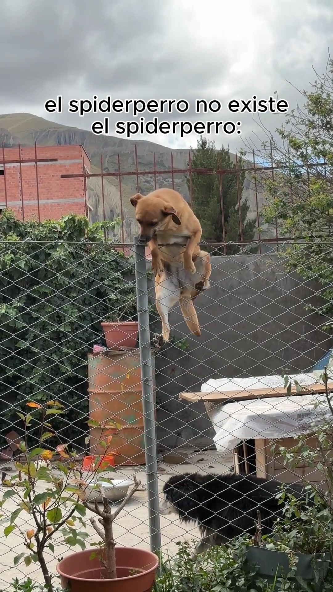 @Fundación Unifranz