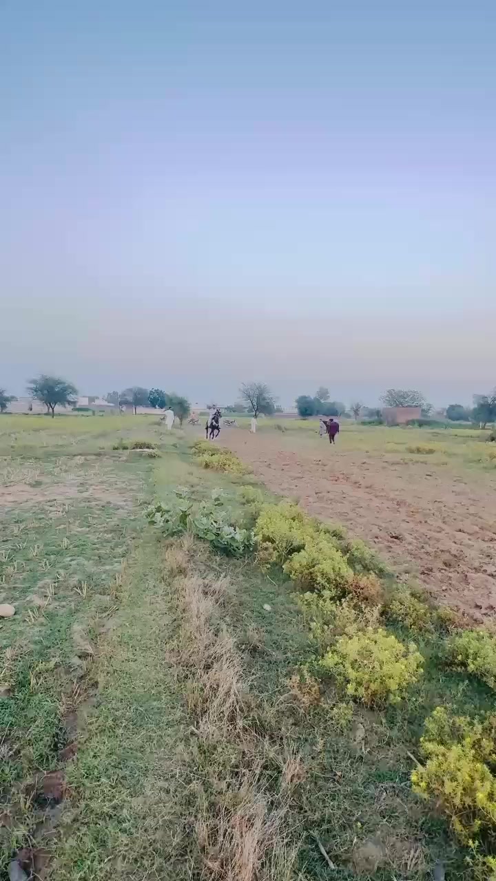 @Pehlwan Qadeer jatt