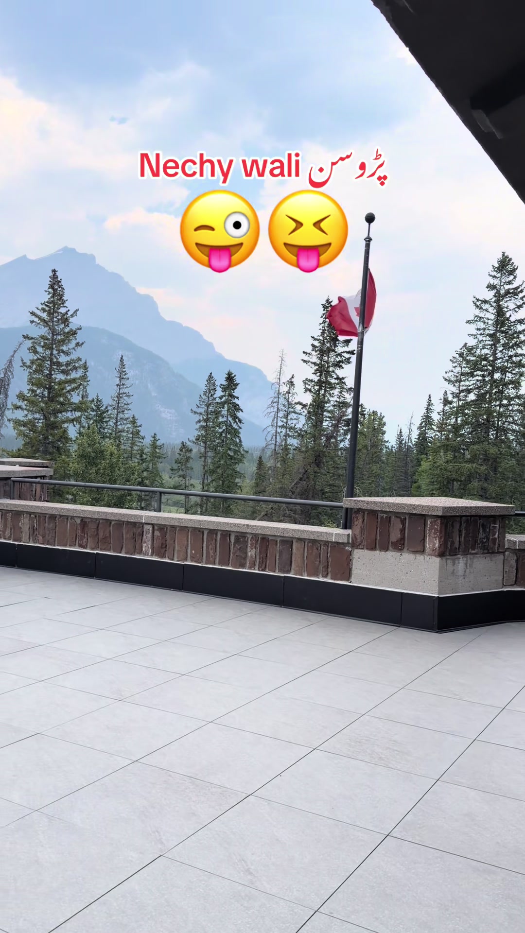 @Maha 🇨🇦💕🍉🎀