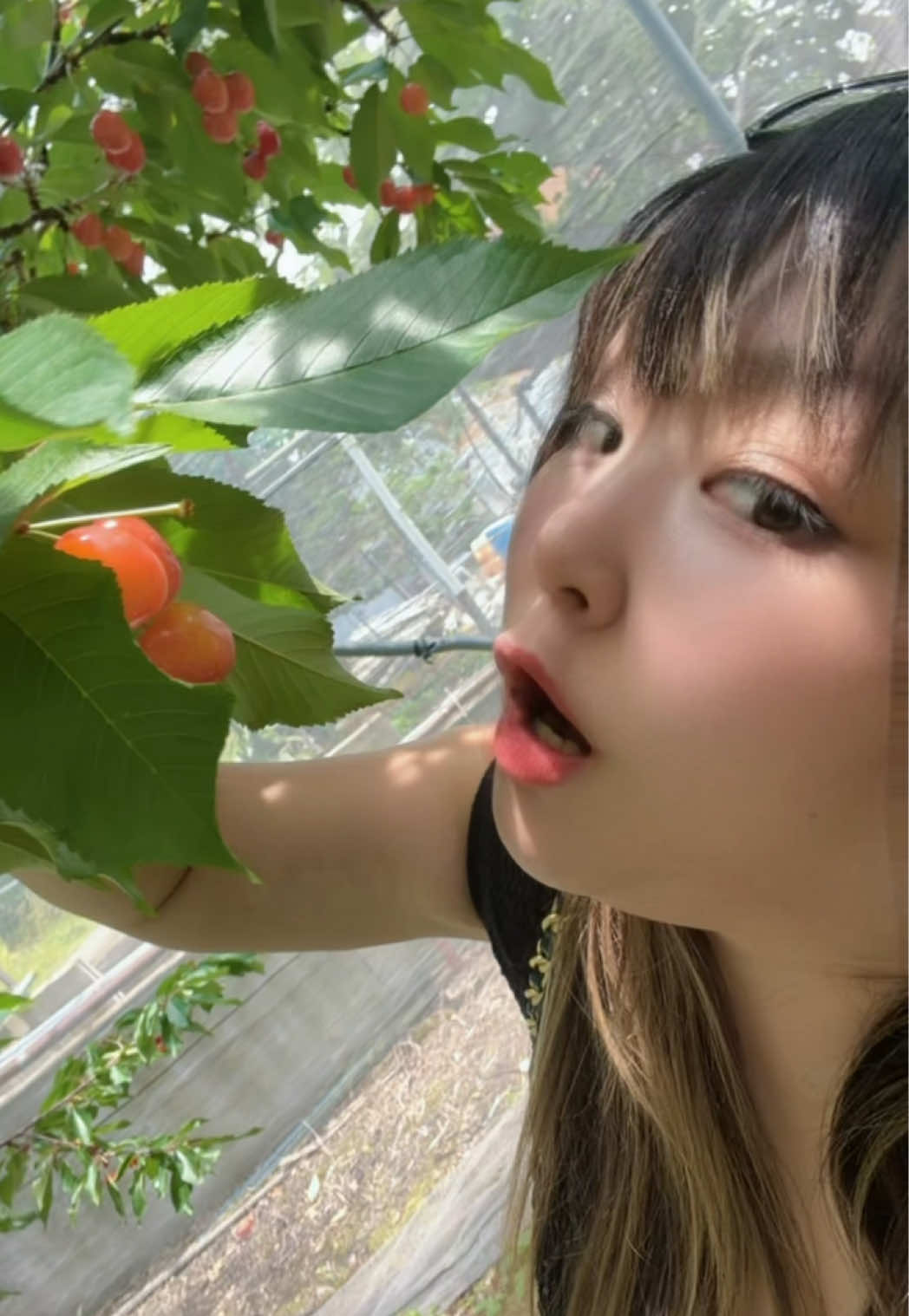 @🥃🏴☠️姫咲姫花🧜🏽♀️🖤