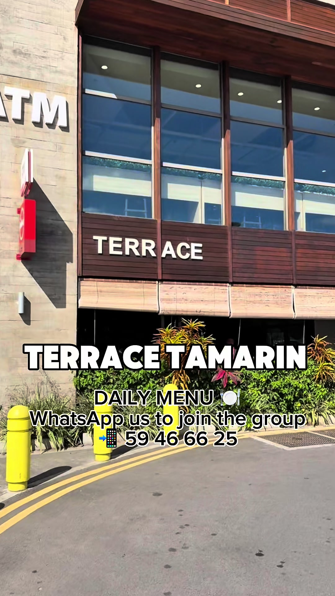 @Terracetamarin