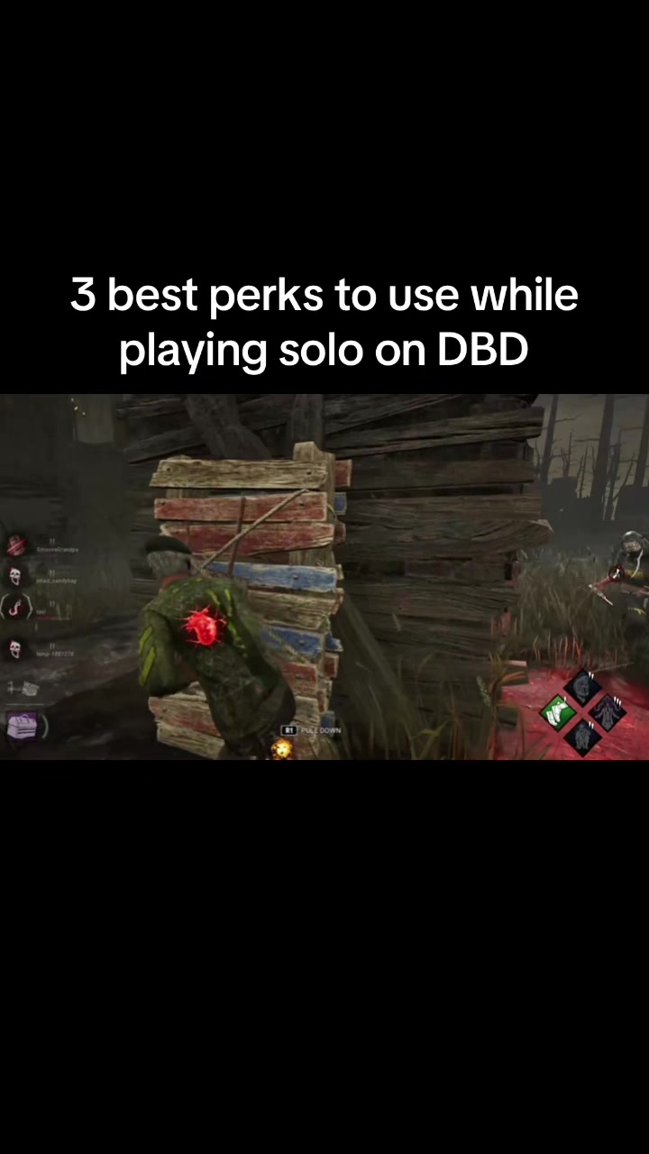 @PlankTV