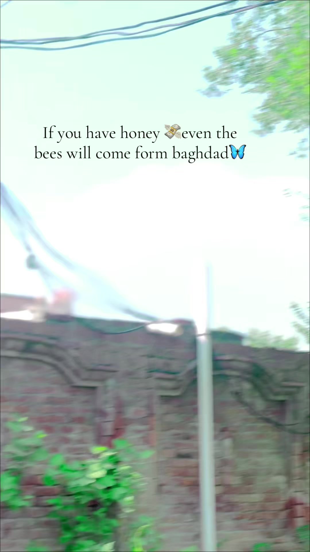 @𒆜 بادشاہ ᴀʟɪ 𒆜
