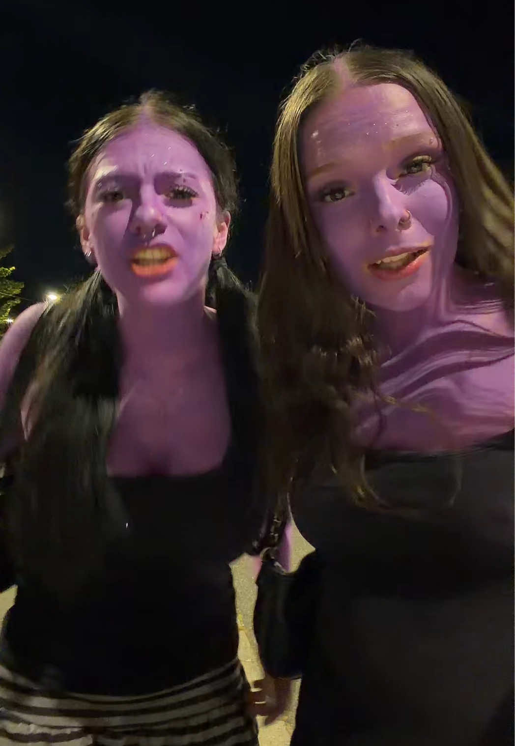@gatolife2016