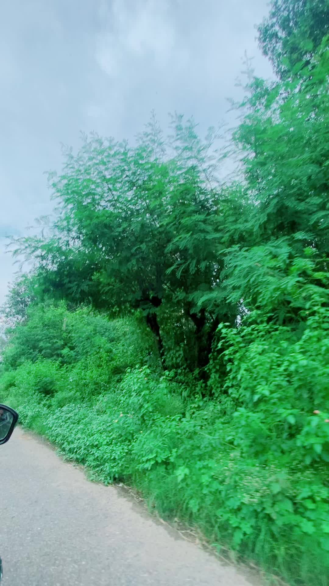 @yamunadevi banjade
