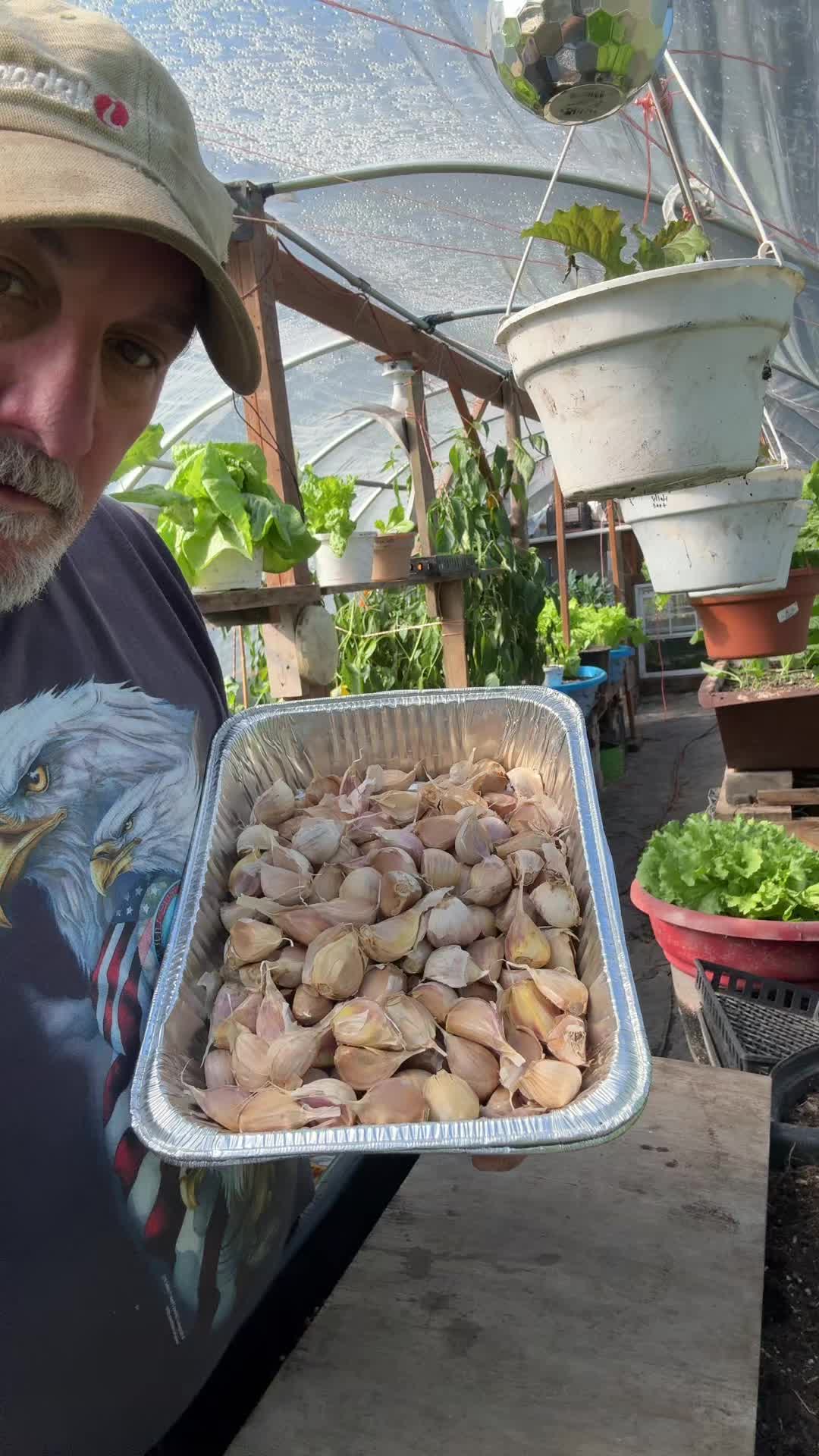 @GROWING_EDIBLE_PLANTS