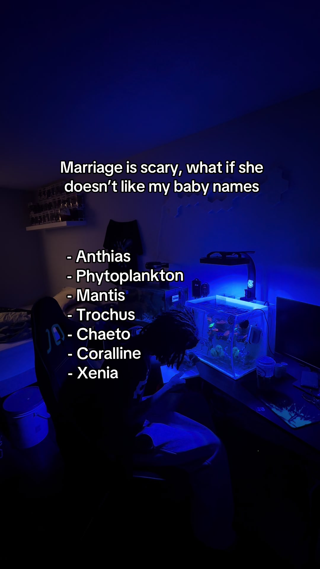 @ReefSync
