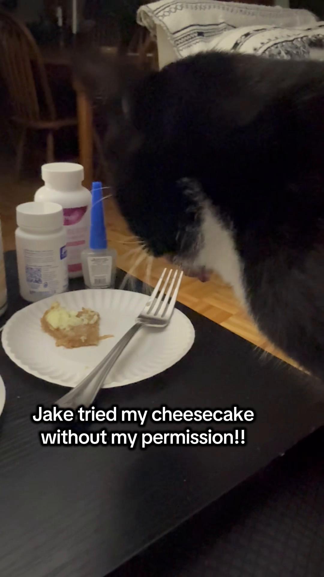 @The Appalachian kitties