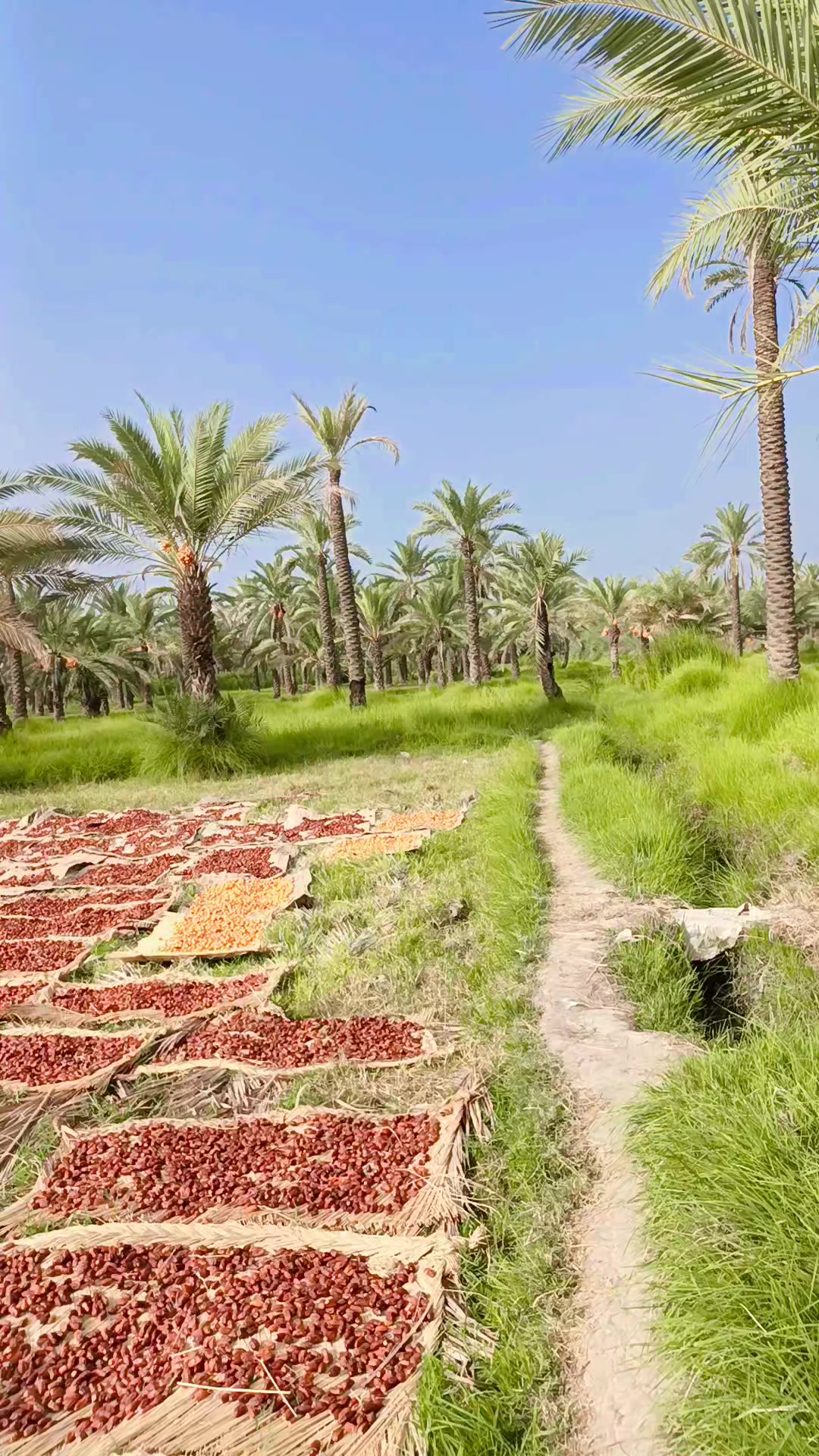 @RAJA SINDHI❤️