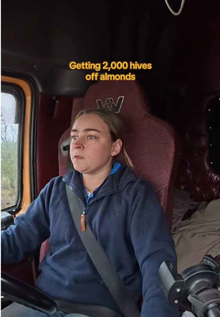 @phiasbees