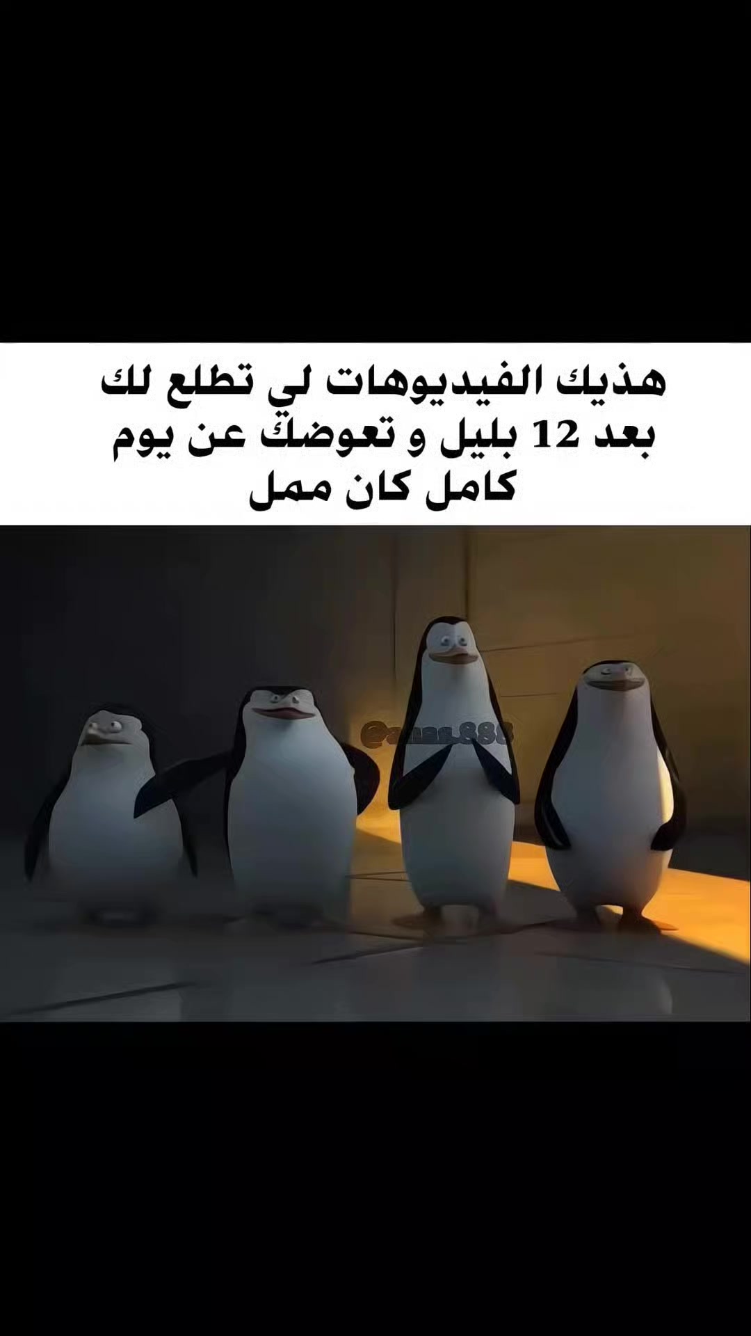 @أنس | ᴀɴs 🎱