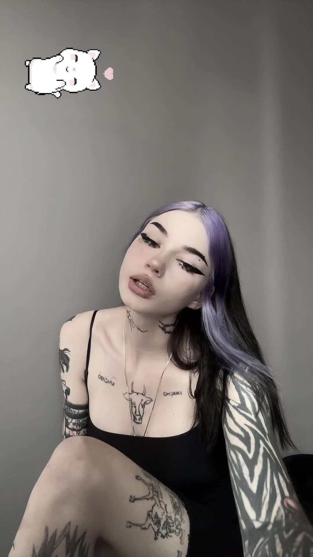 @alisia.fi