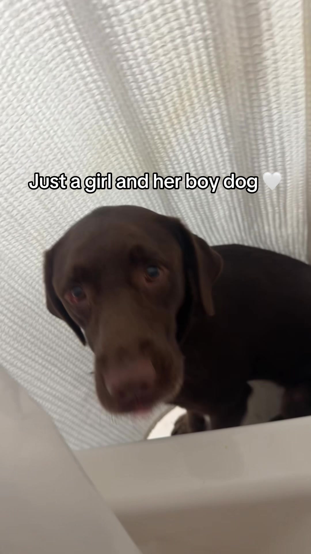 @Kass