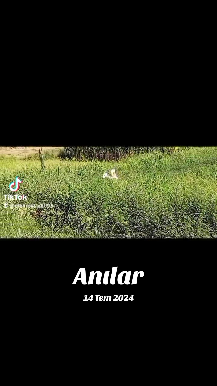 @karaman09