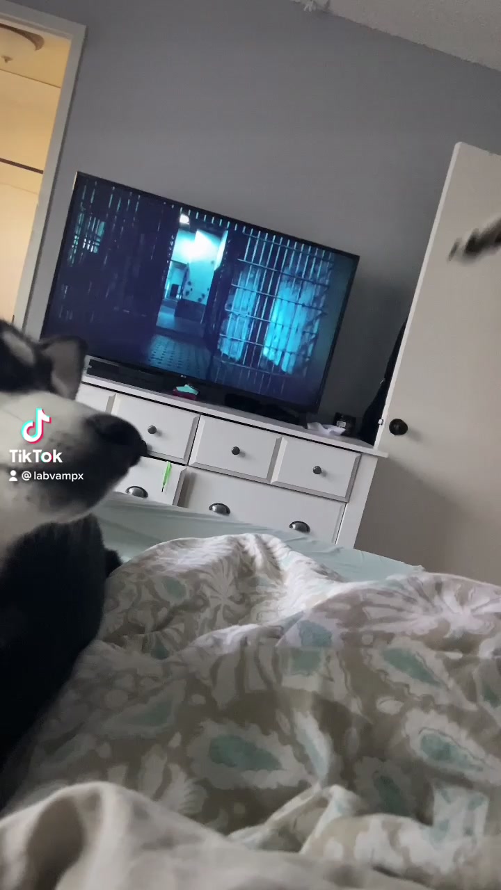 @Spookylabubu