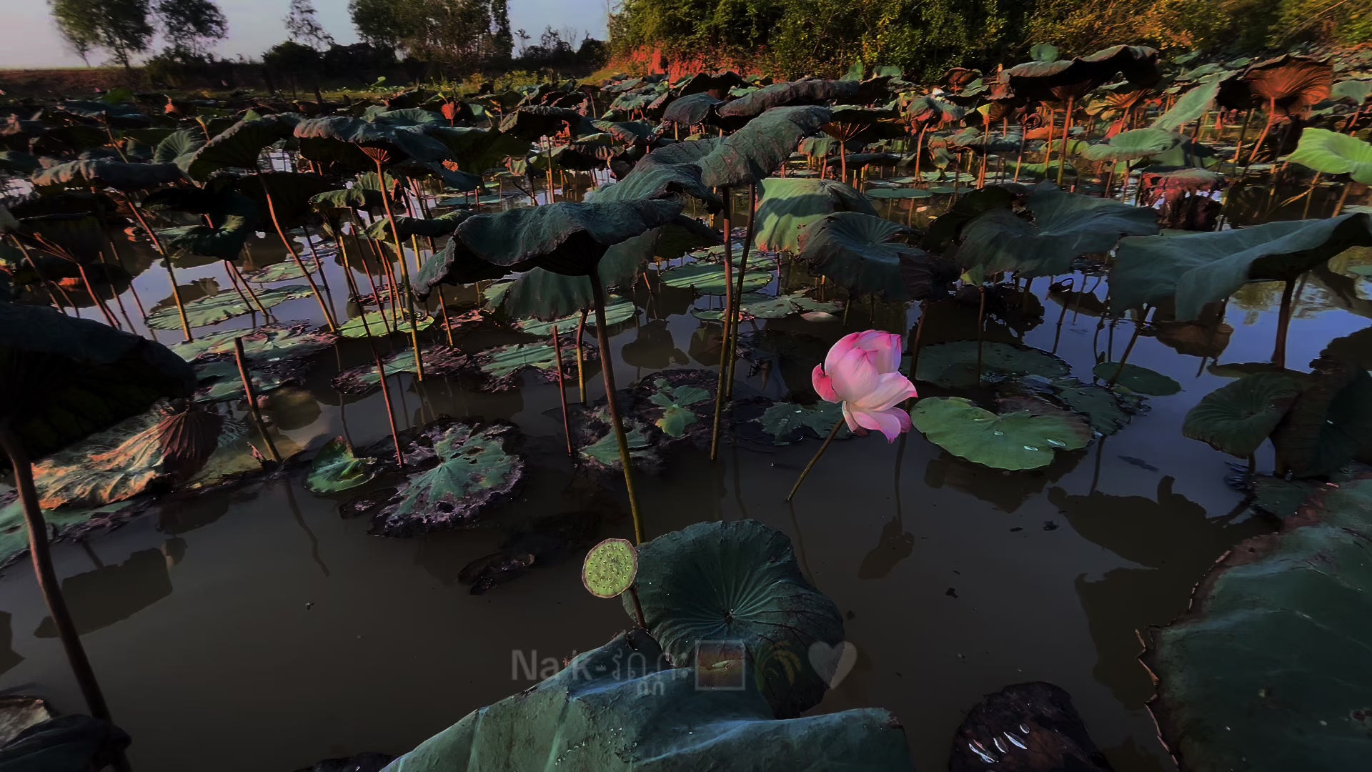 @Na k-វណ្ណៈ
