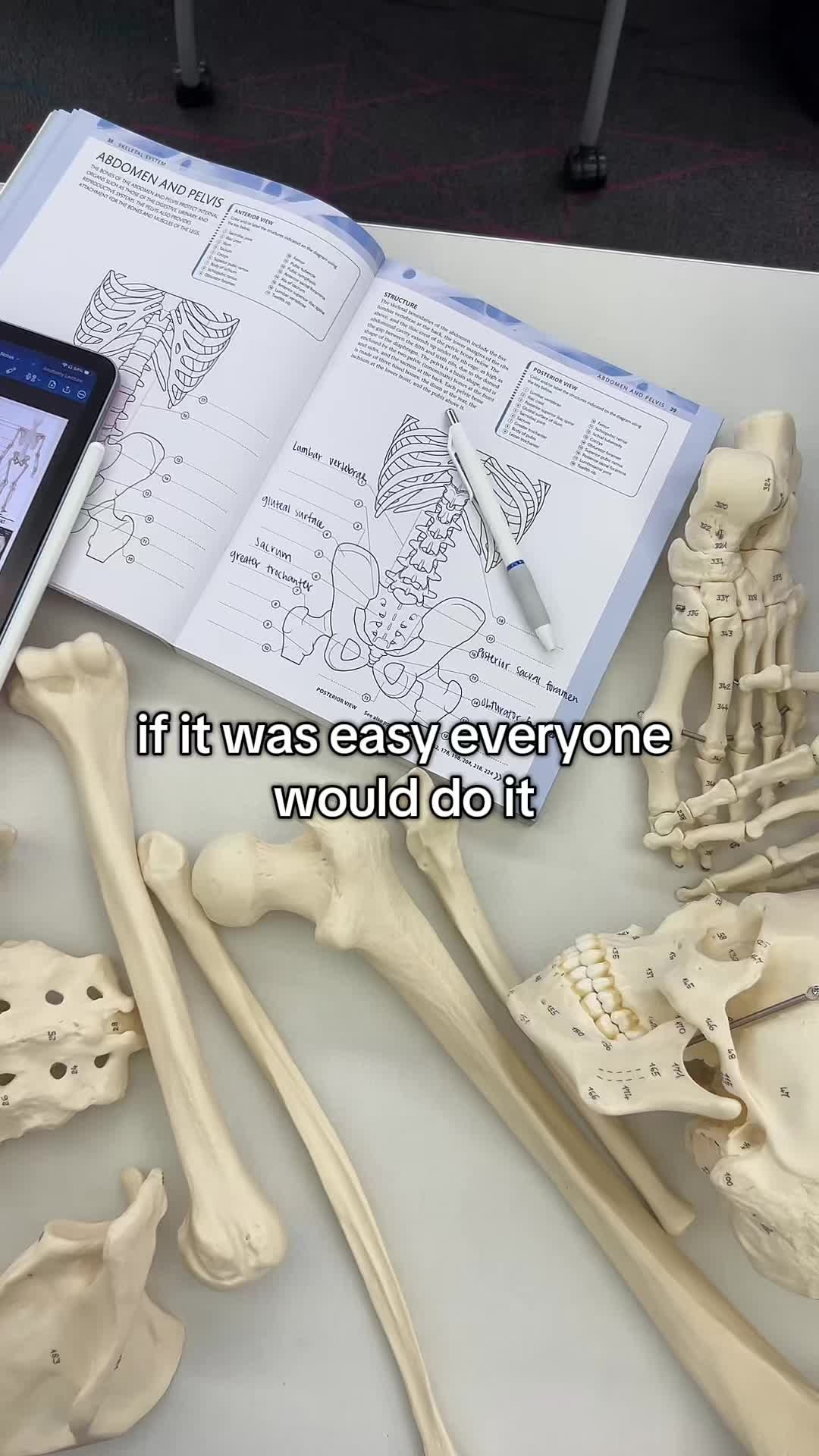 @ari