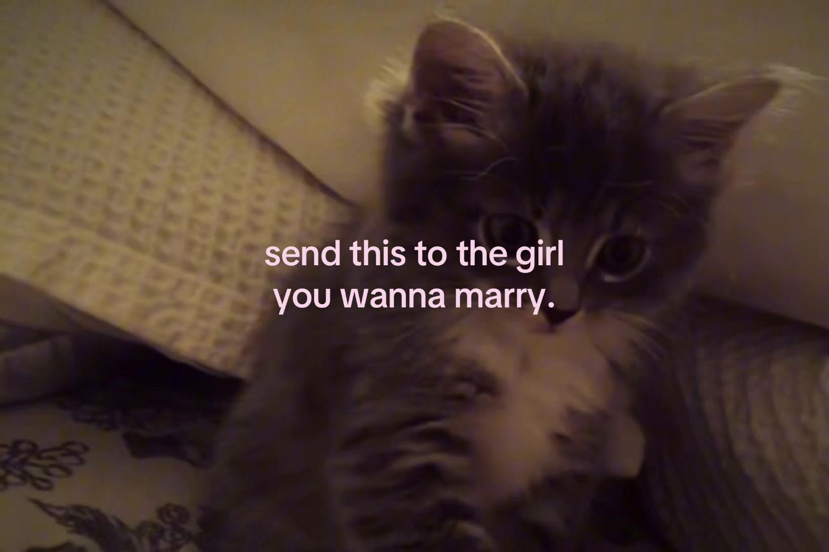 @sxalenz