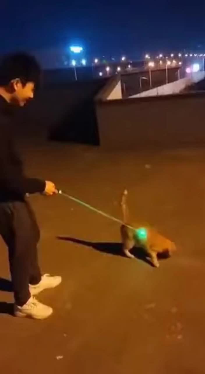 @petsmadnesstv