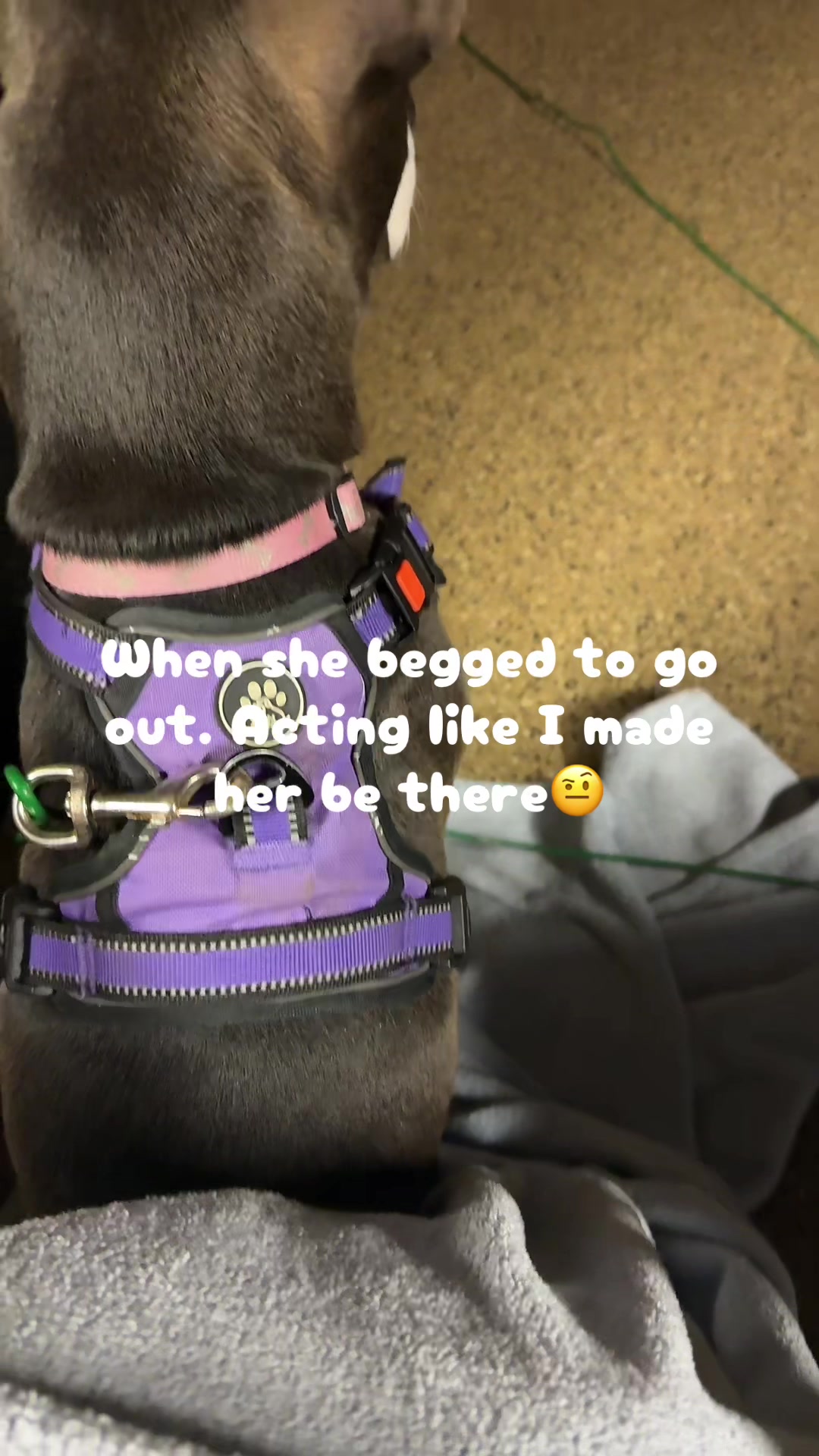 @Jenn
