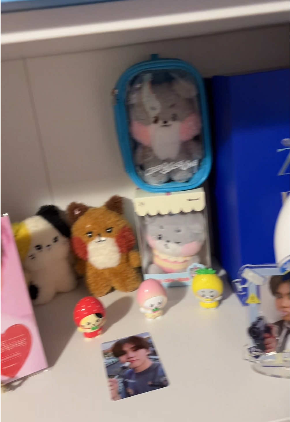 @izzy ๐ง๐พ
