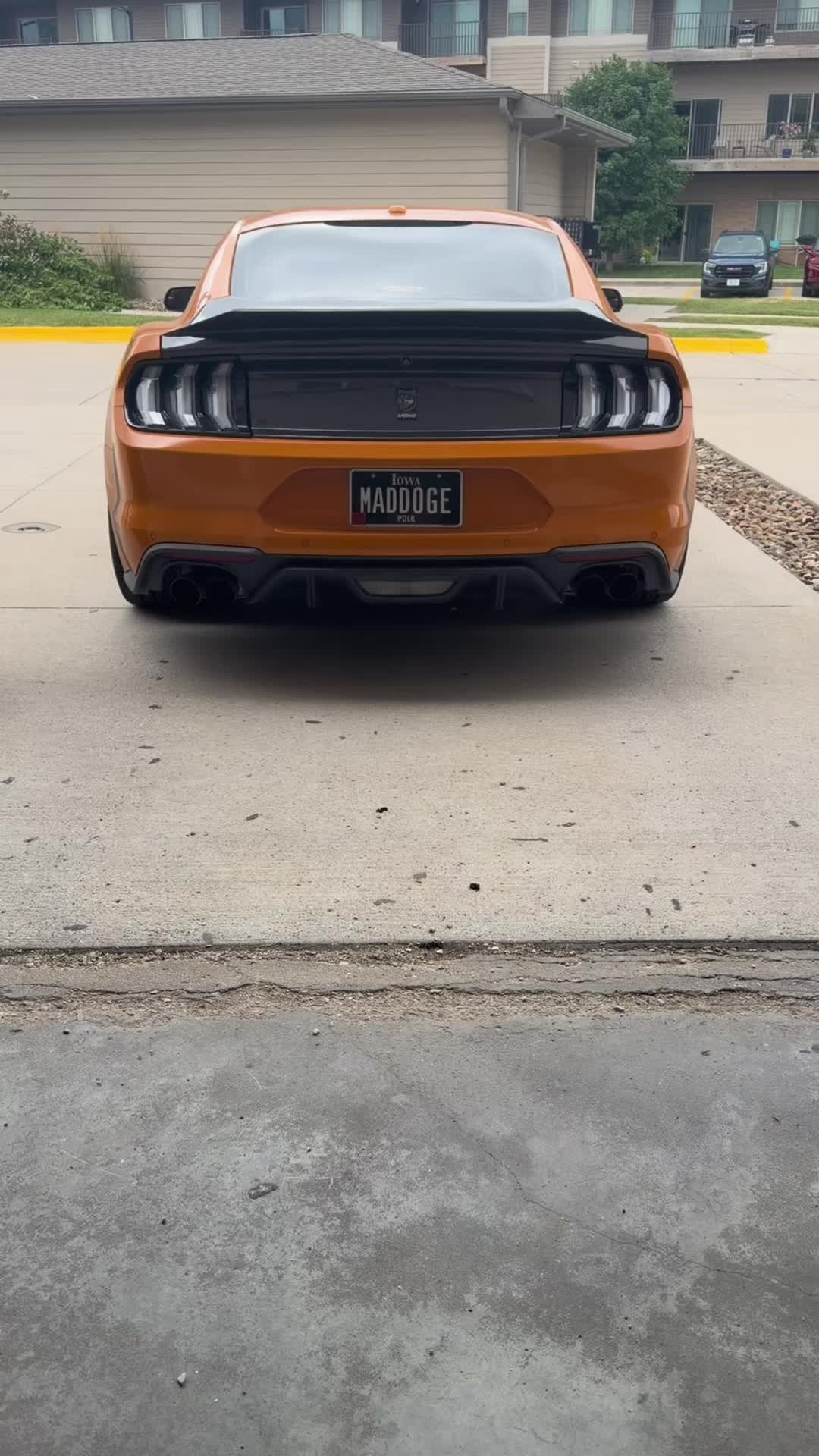 @LaVidaDeBori787PR🇵🇷🐺
