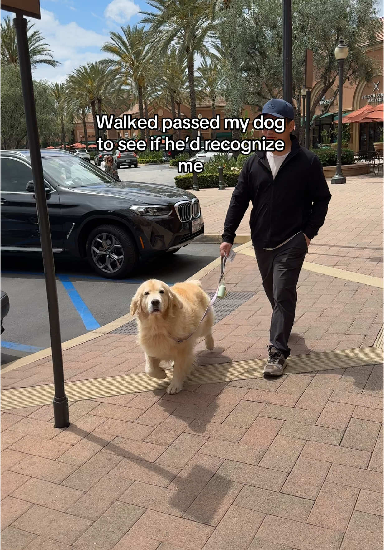 @Maui, Ruby +Hugo