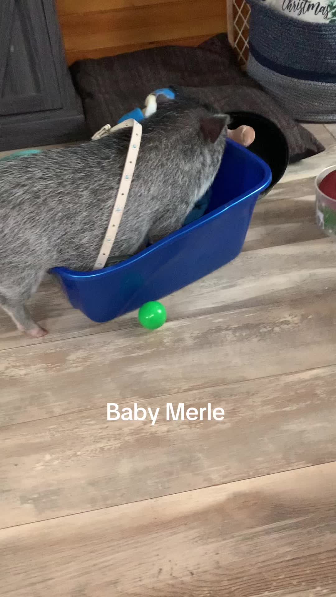 @Merle&Mama