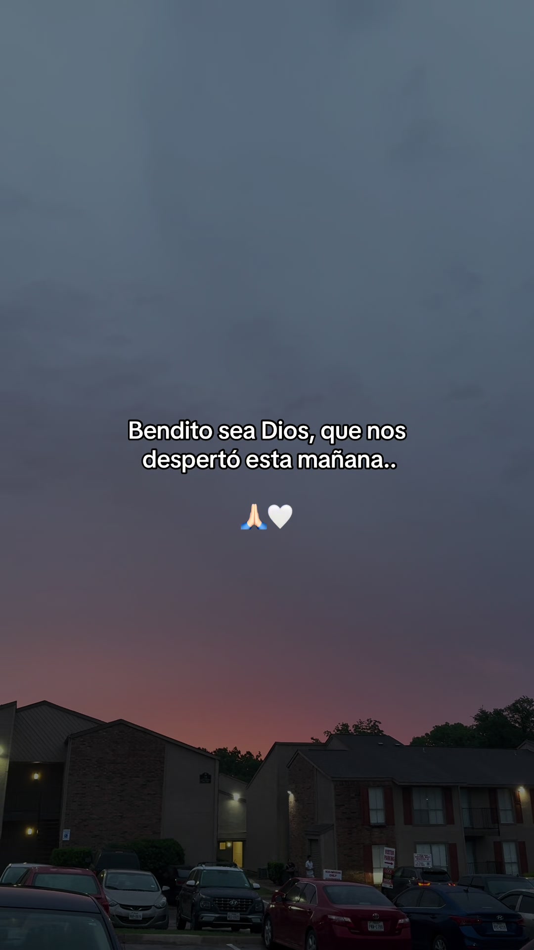 @🌻✨𝐸𝐿𝐼𝒵𝒜𝐵𝐸𝒯𝐻✨🌻