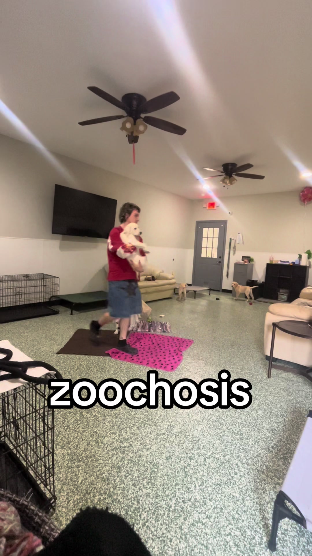 @finn