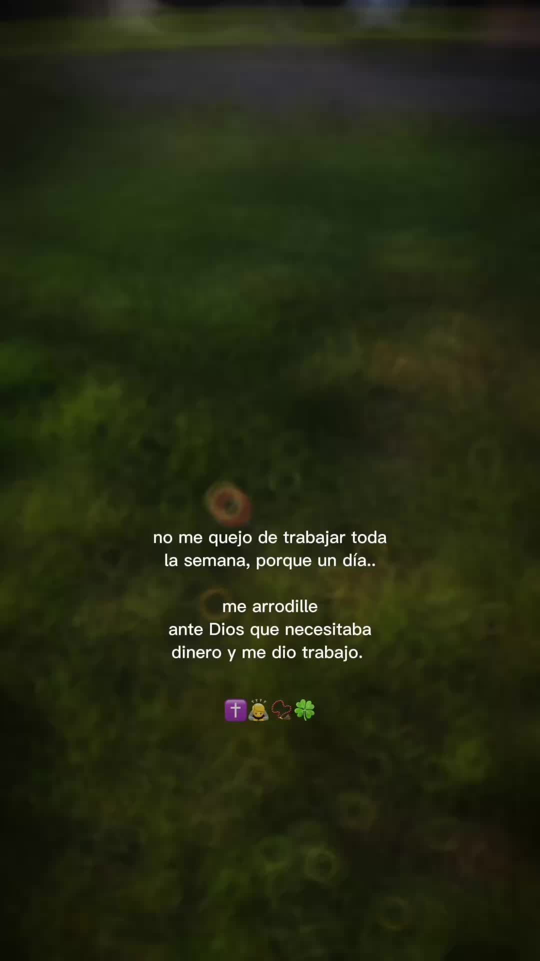 @flaco_S17