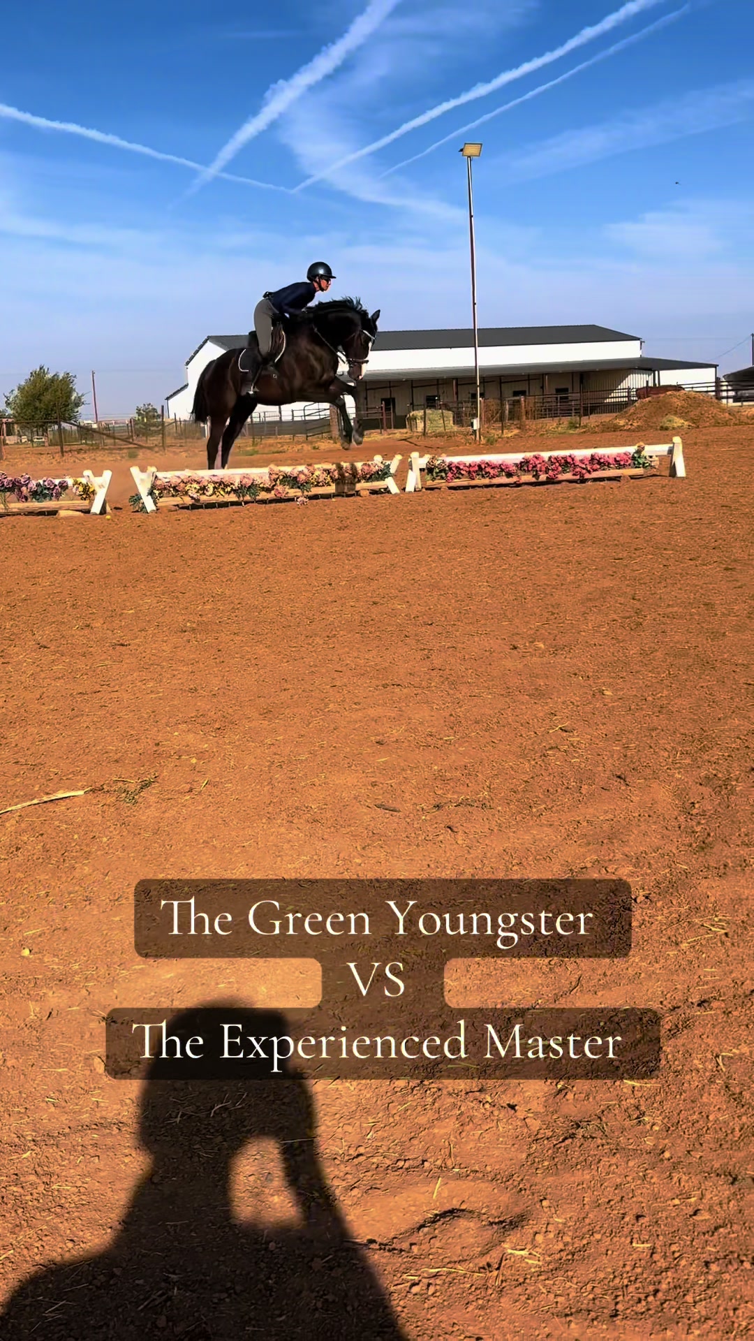 @Grace Equestrian TX