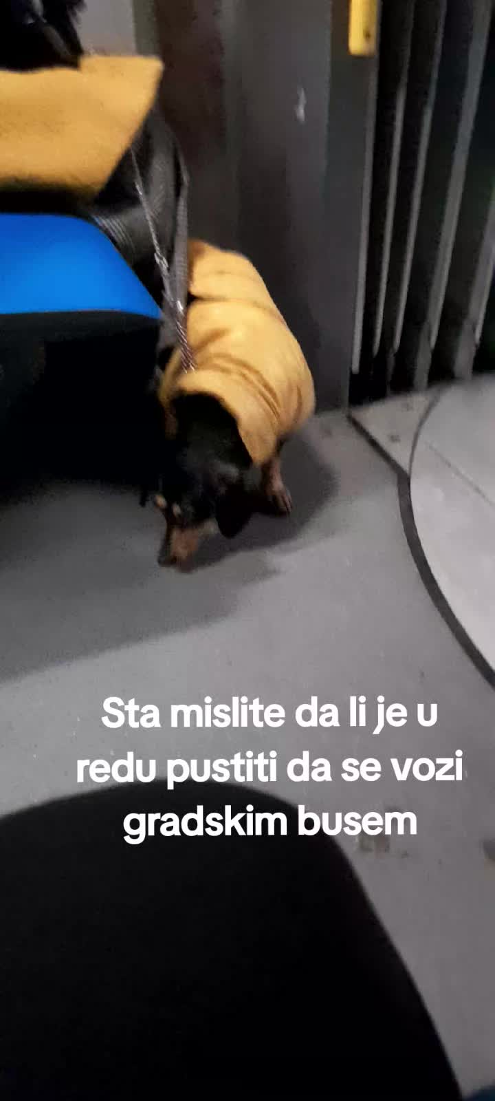 @Miki maus 67