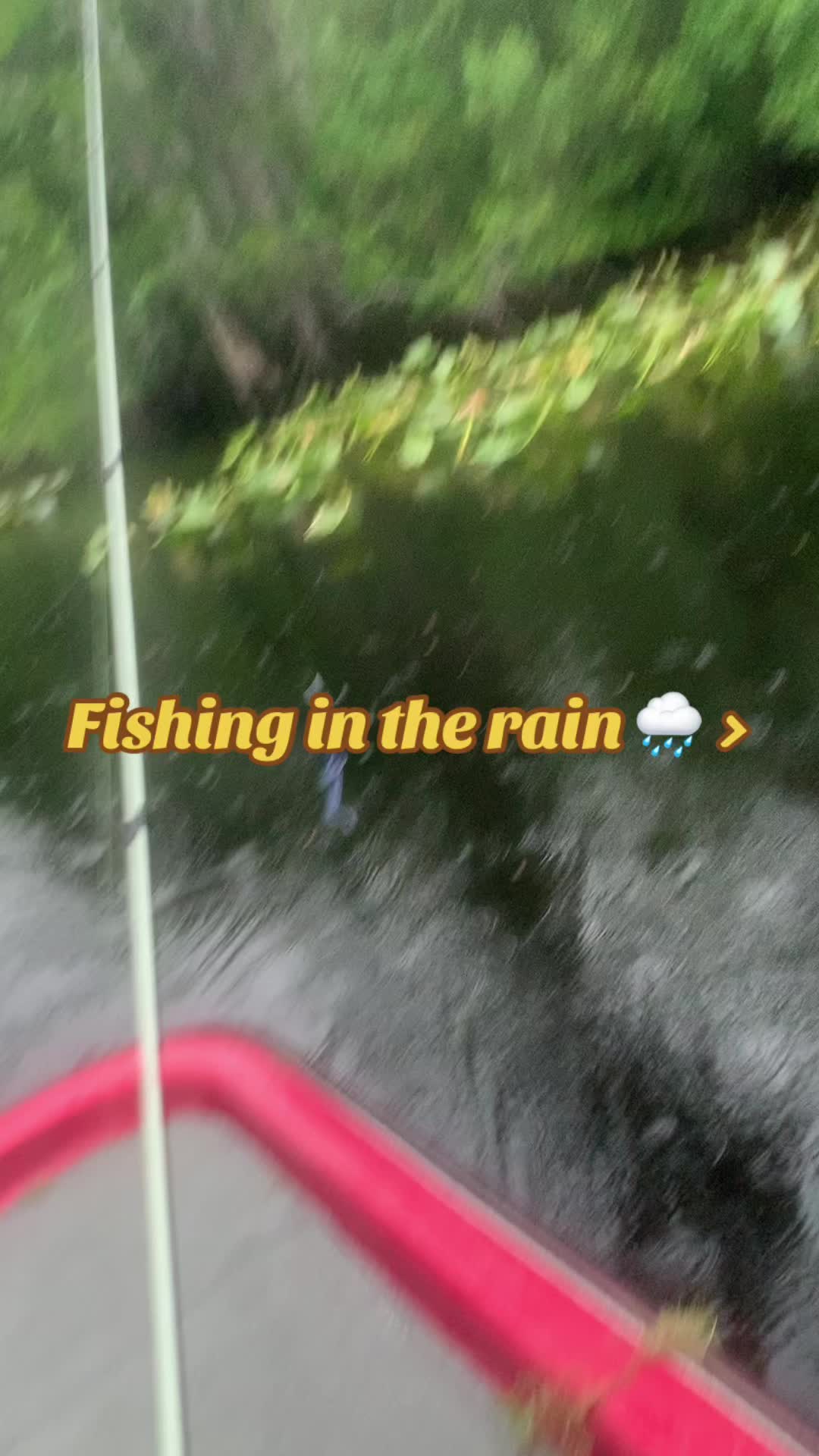 @Cody vs Wild