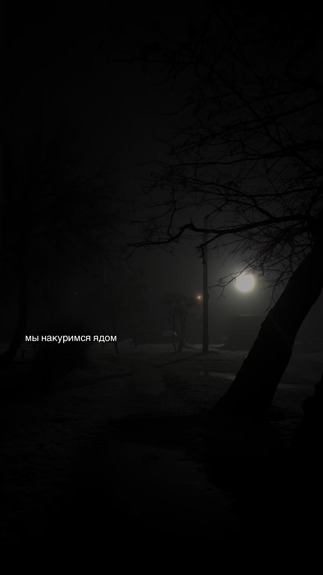 @сейкора