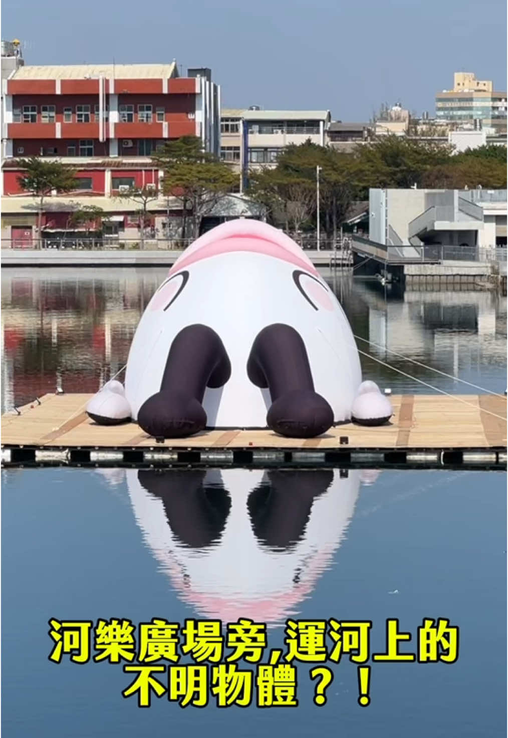 @口袋吃吃五十咩