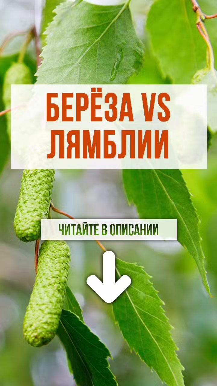 @ЗОЖнавигатор