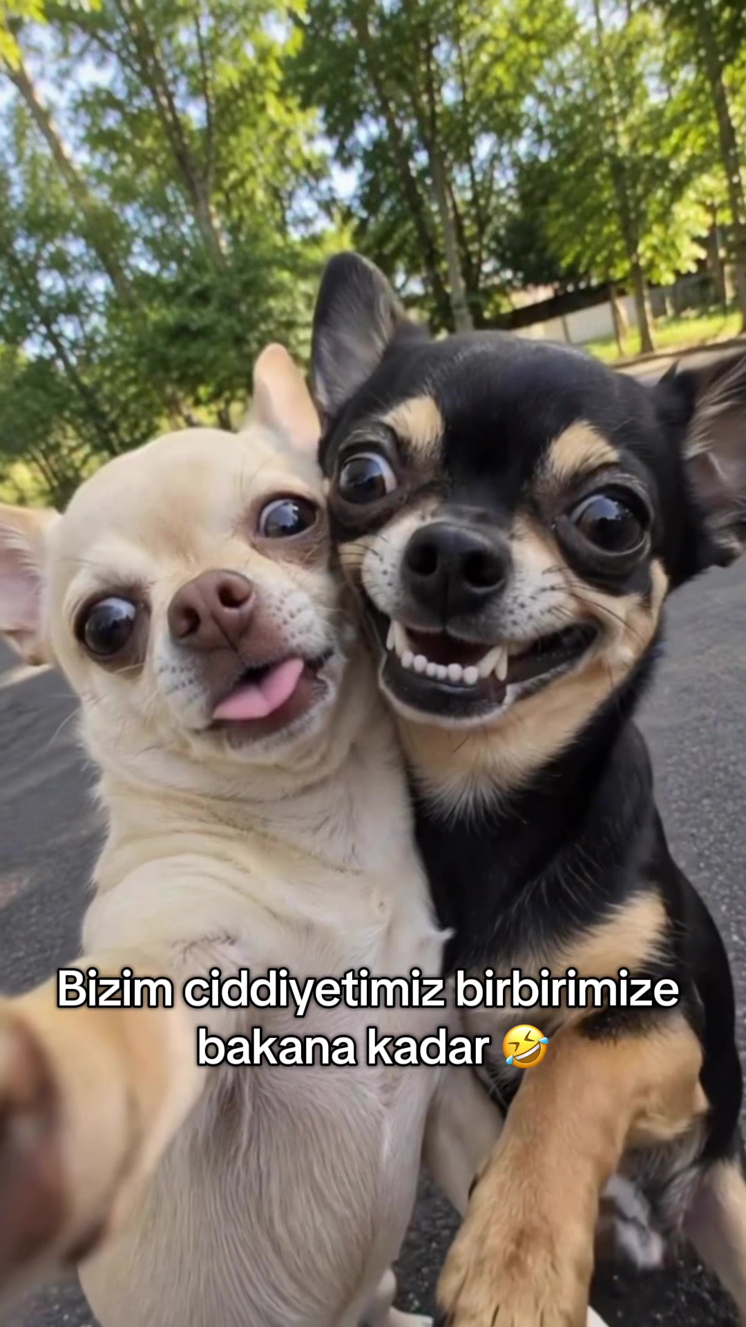 @Hüsniş özdemir