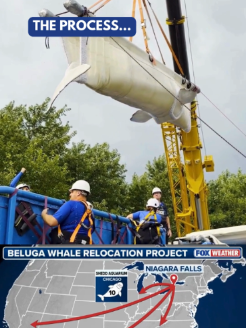 @FOX Weather