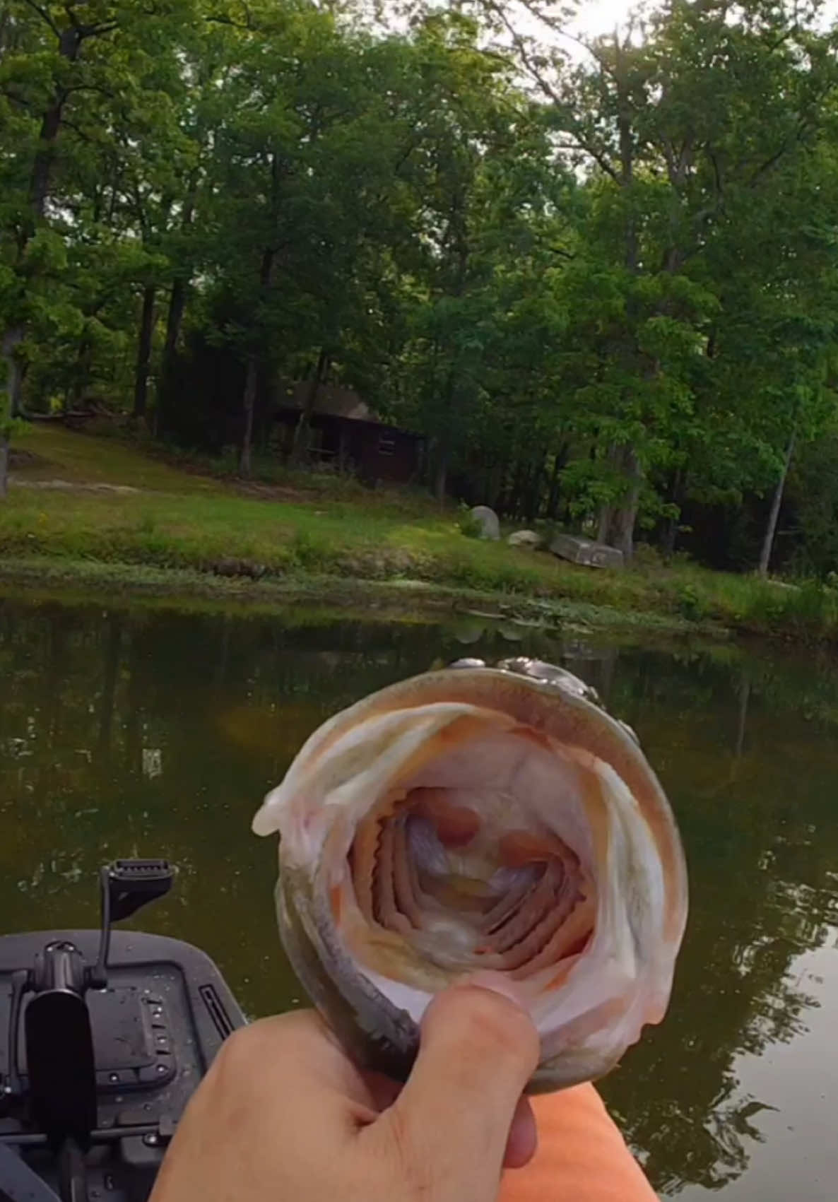 @Creek Seeker Outdoors