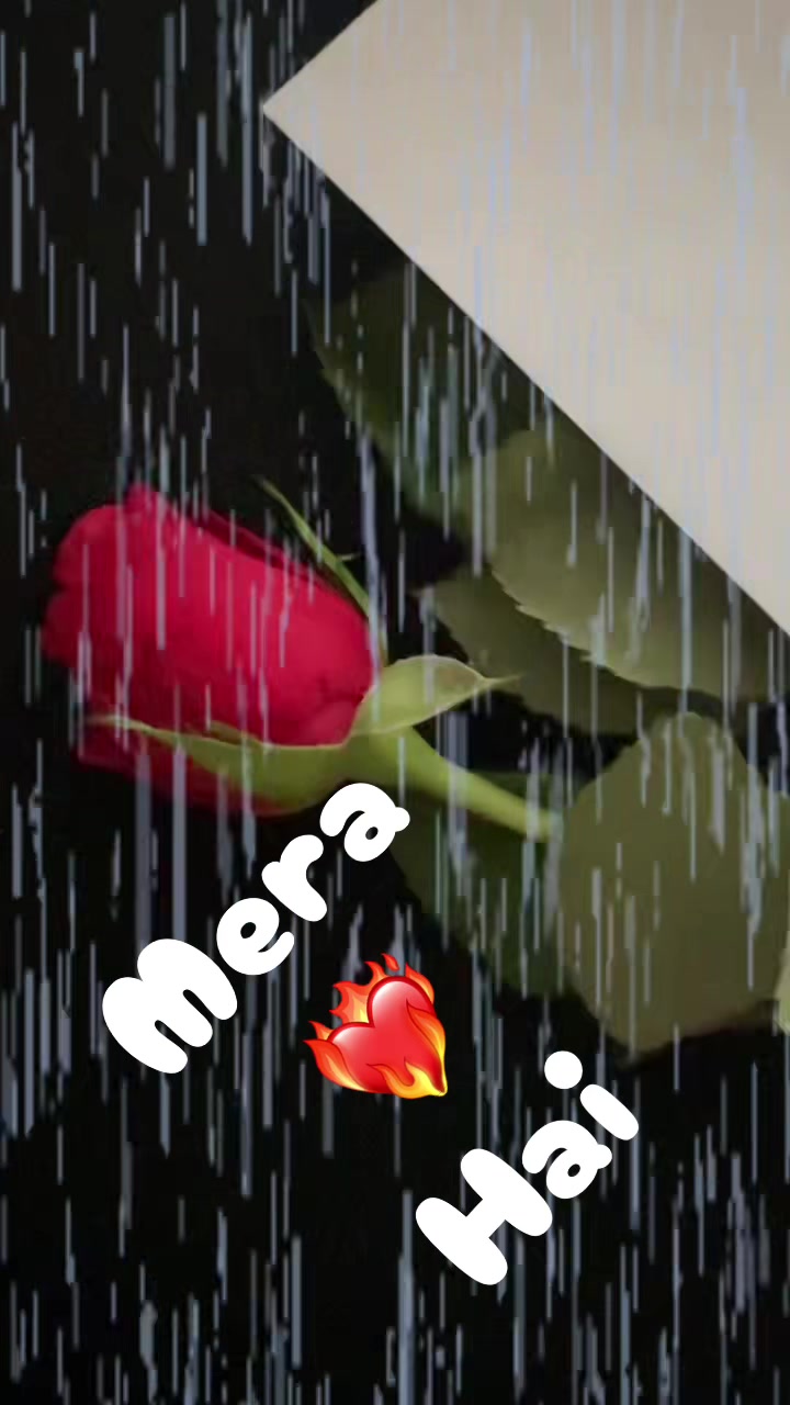 @sarb568