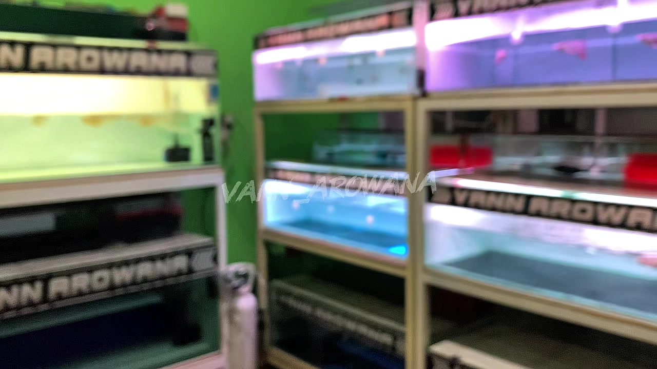 @Vann Arowana