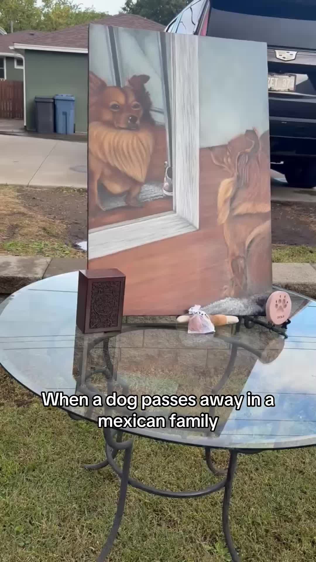 @Cinthia