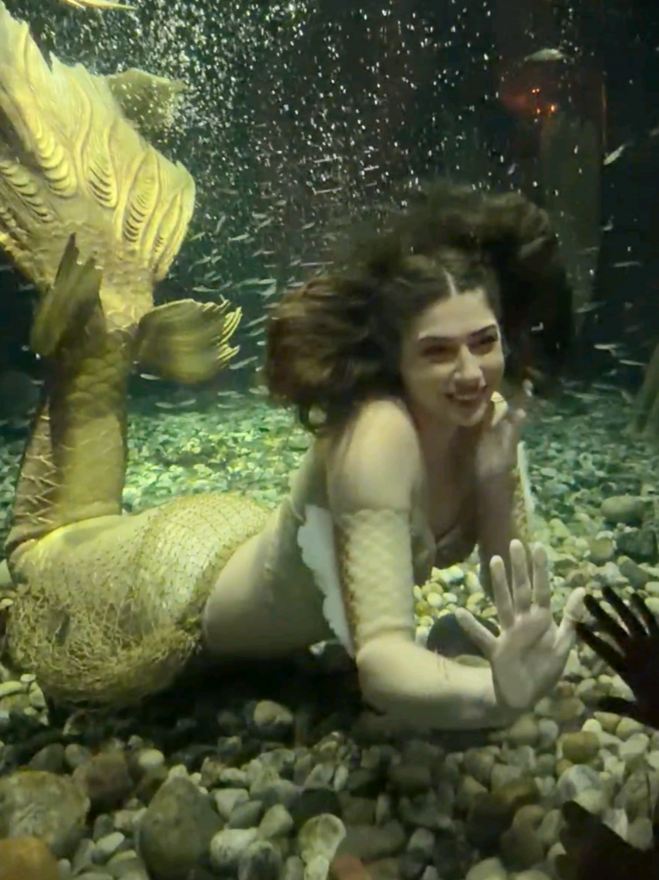 @mermaidevmyira